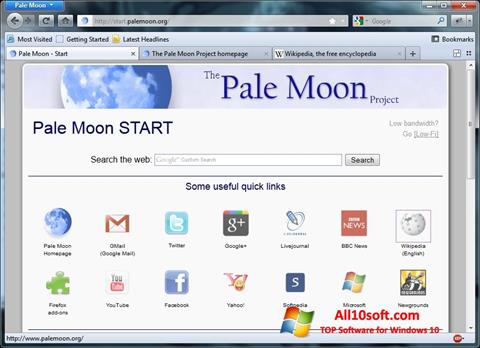 Скріншот Pale Moon для Windows 10