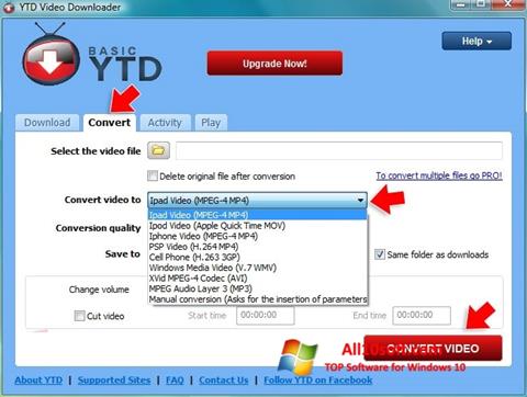 Скріншот YTD Video Downloader для Windows 10