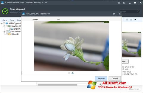 Скріншот USB Flash Drive Recovery для Windows 10