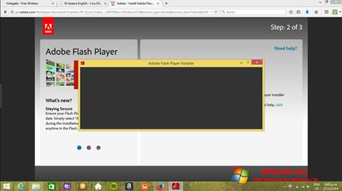 Скріншот Adobe Flash Player для Windows 10